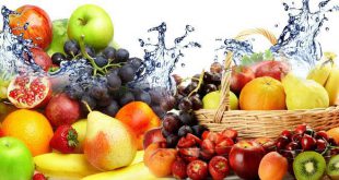 صادرات کنسانتره میوه