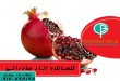 فروش کنسانتره انار