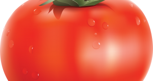فروش عمده رب گوجه فرنگی
